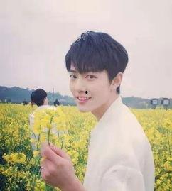 杨紫肖战最新大爆料图片,幕后故事大曝光！